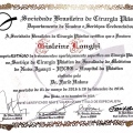 Ampliar imagem: certificate 8