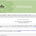 Ampliar imagem: certificate 4