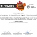 Ampliar imagem: certificate 6