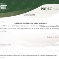 Ampliar imagem: certificate 2