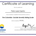 Ampliar imagem: certificate 4