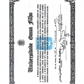 Ampliar imagem: certificate 1