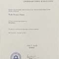 Ampliar imagem: certificate 5