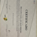 Ampliar imagem: certificate 17