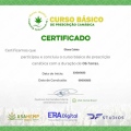 Ampliar imagem: certificate 6