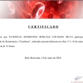 Ampliar imagem: certificate 5