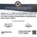 Ampliar imagem: certificate 6