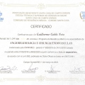 Ampliar imagem: certificate 2
