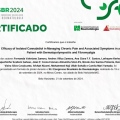 Ampliar imagem: certificate 4