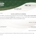 Ampliar imagem: certificate 3