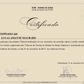 Ampliar imagem: certificate 8