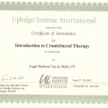 Ampliar imagem: certificate 4