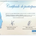 Ampliar imagem: certificate 4