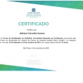 Ampliar imagem: certificate 1
