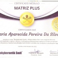 Ampliar imagem: certificate 3