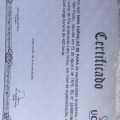 Ampliar imagem: certificate 3
