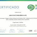 Ampliar imagem: certificate 1