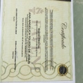 Ampliar imagem: certificate 1