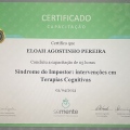 Ampliar imagem: certificate 4