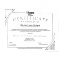 Ampliar imagem: certificate 6