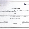 Ampliar imagem: certificate 2