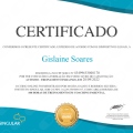 Ampliar imagem: certificate 5