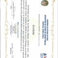 Ampliar imagem: certificate 7