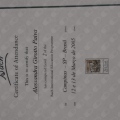 Ampliar imagem: certificate 6
