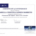Ampliar imagem: certificate 3