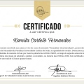 Ampliar imagem: certificate 4