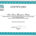 Ampliar imagem: certificate 6