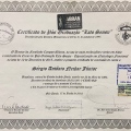 Ampliar imagem: certificate 5