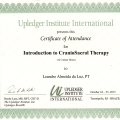 Ampliar imagem: certificate 14
