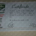 Ampliar imagem: certificate 23