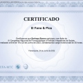 Ampliar imagem: certificate 9