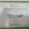 Ampliar imagem: certificate 4