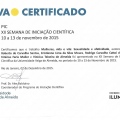 Ampliar imagem: certificate 3