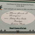 Ampliar imagem: certificate 9