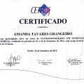 Ampliar imagem: certificate 5