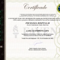 Ampliar imagem: certificate 5
