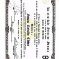 Ampliar imagem: certificate 2