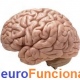 Clinica Neurocirurgica Dr Nevair Gallani