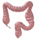 Instituto de Coloproctologia de Ribeirão Preto