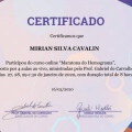 Ampliar imagem: certificate 10