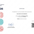 Ampliar imagem: certificate 3
