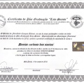 Ampliar imagem: certificate 5