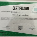 Ampliar imagem: certificate 5