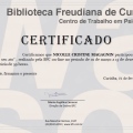 Ampliar imagem: certificate 6