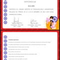 Ampliar imagem: certificate 3