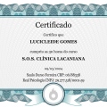 Ampliar imagem: certificate 4